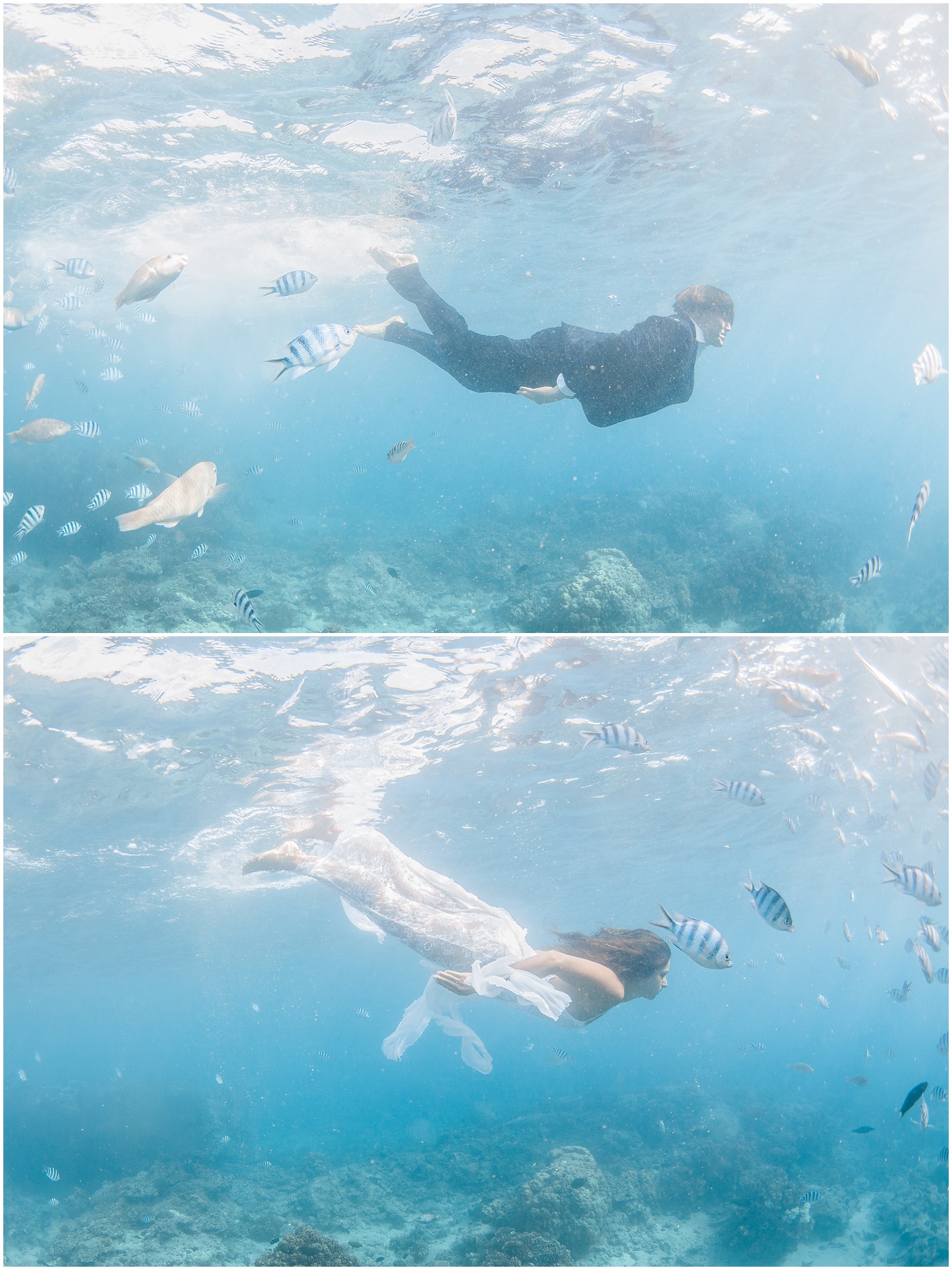 Bride & Groom swims underwater in Fiji with the fish