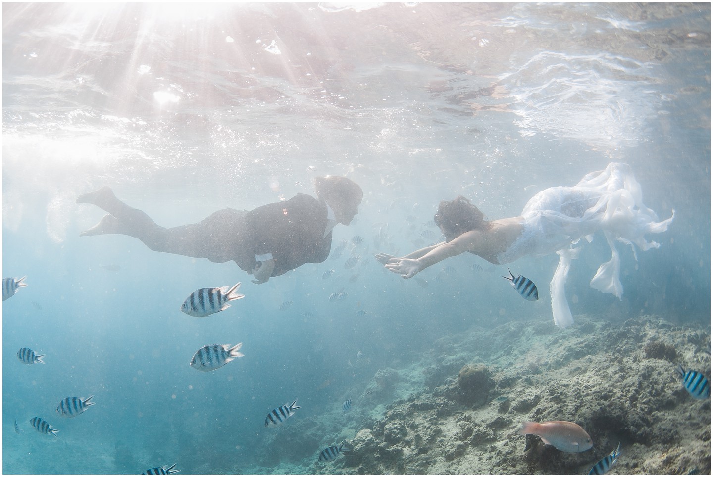 Bride & Groom swim underwater in Fiji with the fish